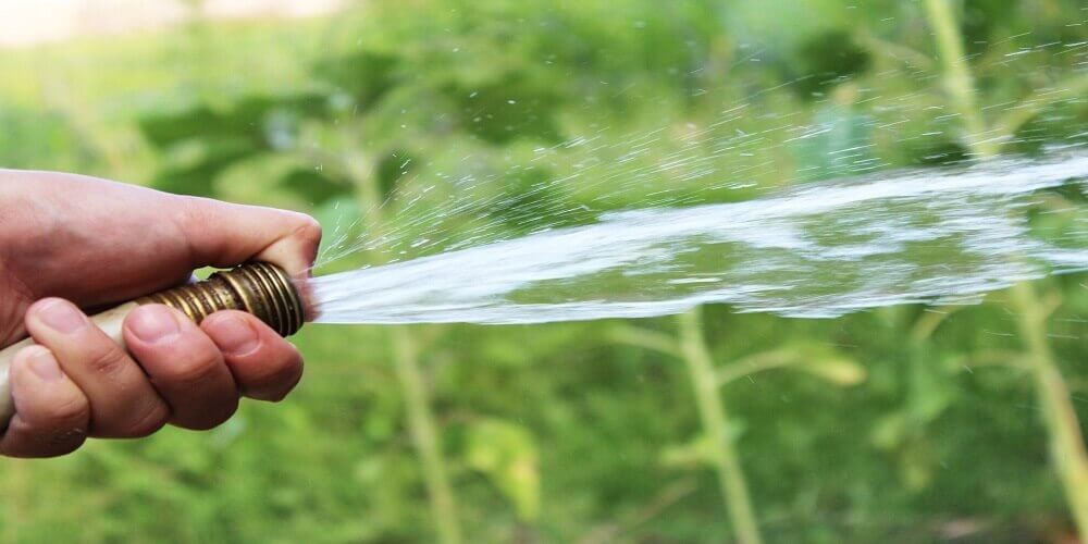 5 Garden Hose Safety Precautions You Don’t Want To Ignore