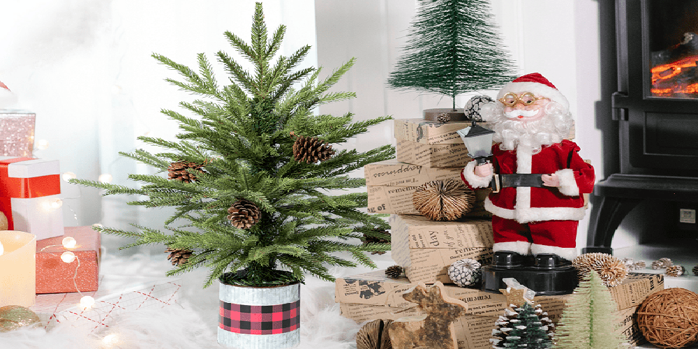 Celebrate your Christmas with a potted Christmas tree
