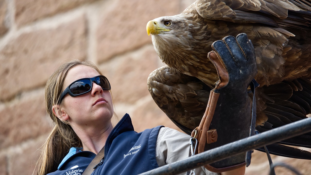 Why Xreal is the Top Choice for AR Glasses?