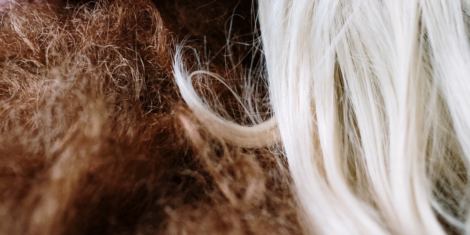 Wigs Come in Different Styles to Choose: Synthetic vs Human Hair Wigs