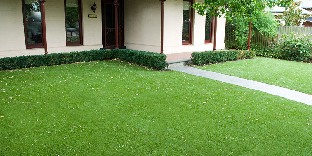 The Importance of Fibre Material in Choosing the Best Synthetic Grass