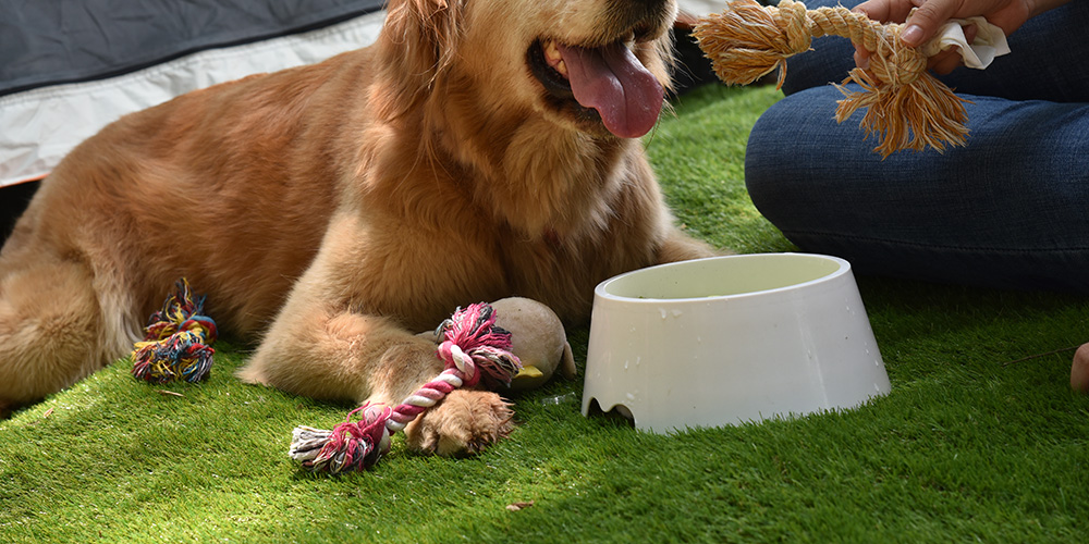 Essential Features of Synthetic Turf that You Should Look For