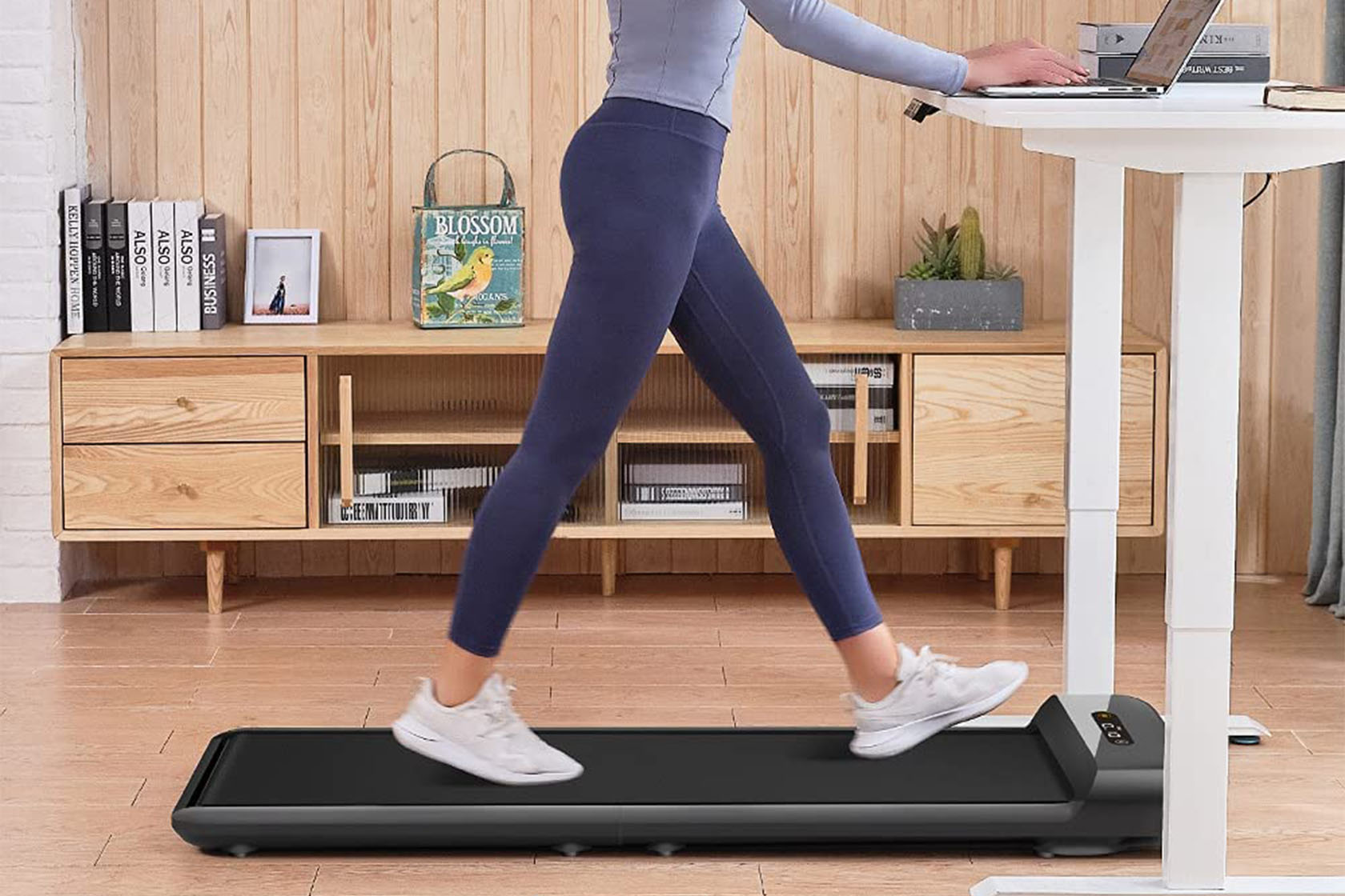 Buying Guide for the Best Walking Pads