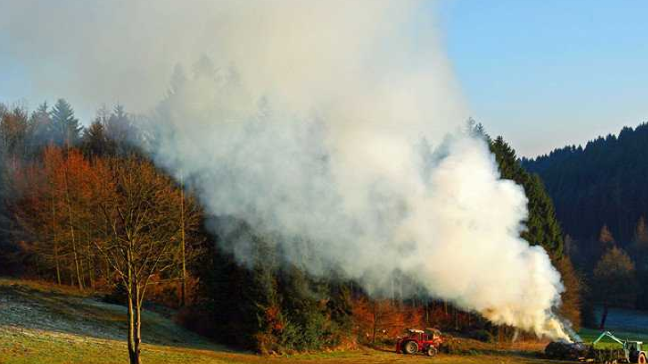 What Are The Drawbacks Of Using Mulcher Teeth Or Flail Mower Hammer As Forestry Mulcher?
