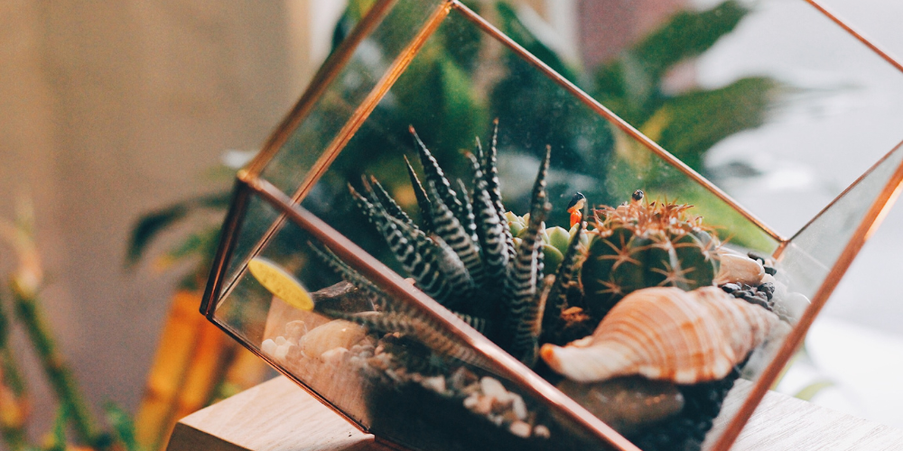 Use Geometric Terrariums That Will Light Up Your Room