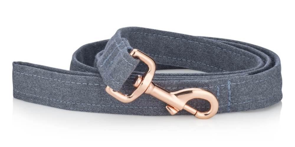 Five dog leashes you should know about