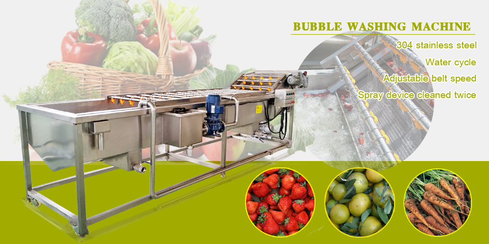 A Comprehensive Guide to Vegetable Washing Machine