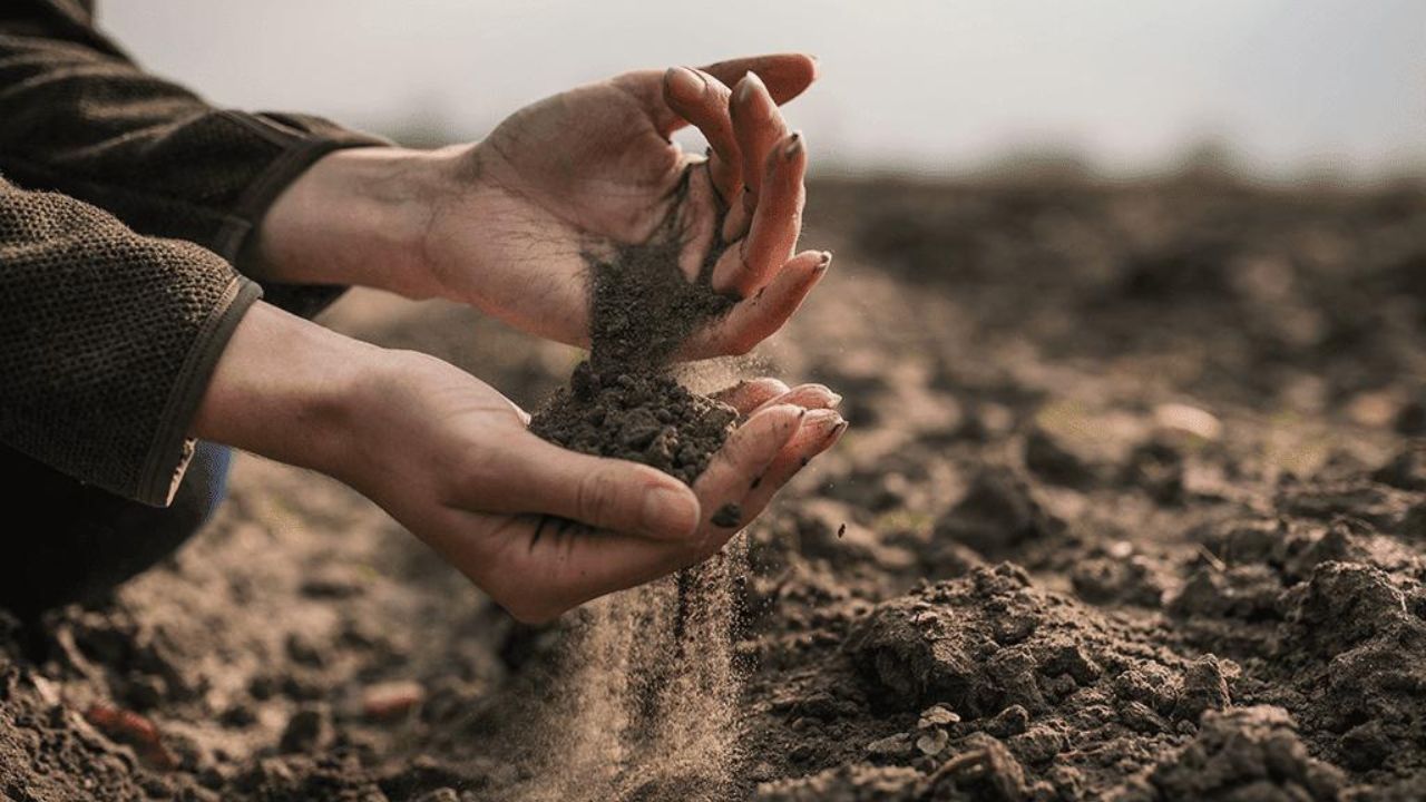 Fecon Mulcher Teeth and the Effect They Have on the Soil Structure