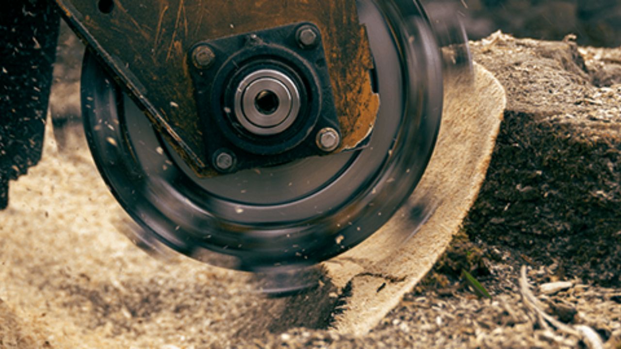 How Stump Grinder Teeth and Pockets Affect the Cost of Operation