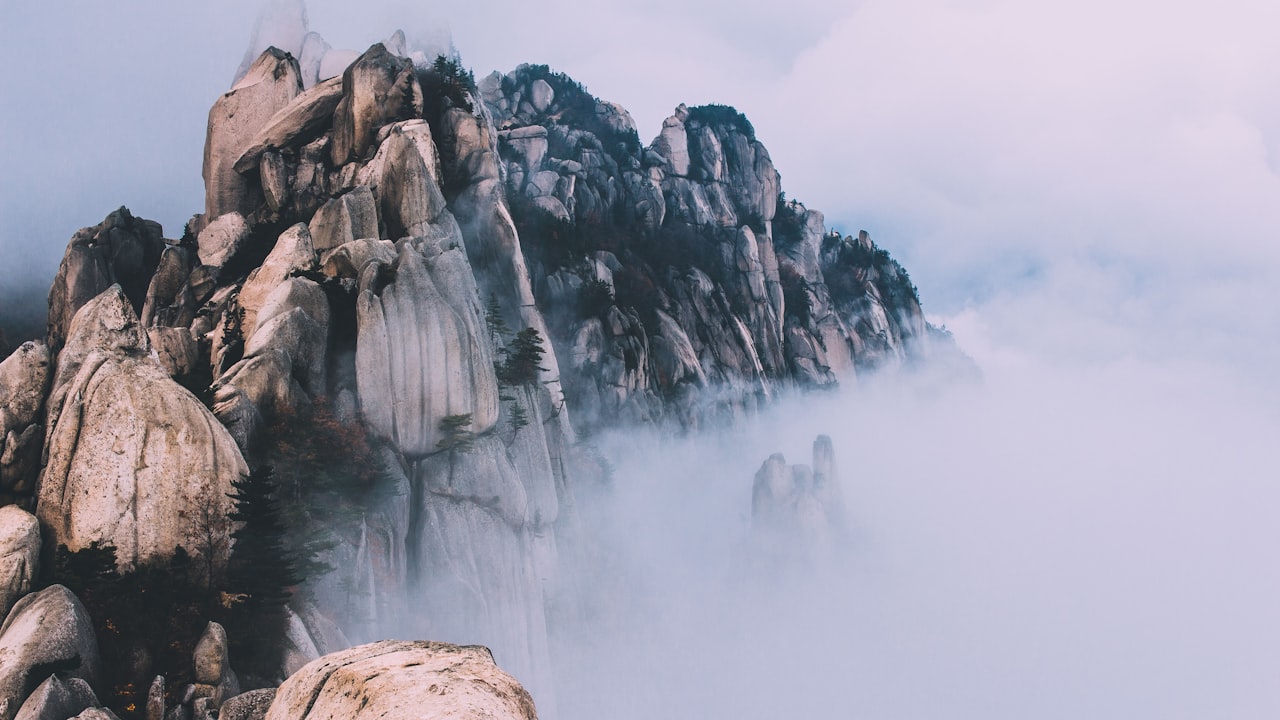 Mist Fans vs. Traditional Fans: Why Choose a Misting Fan?