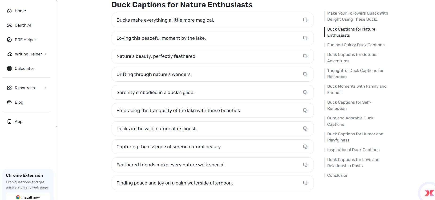 Quacking Up Instagram: How to Create the Best Duck Captions