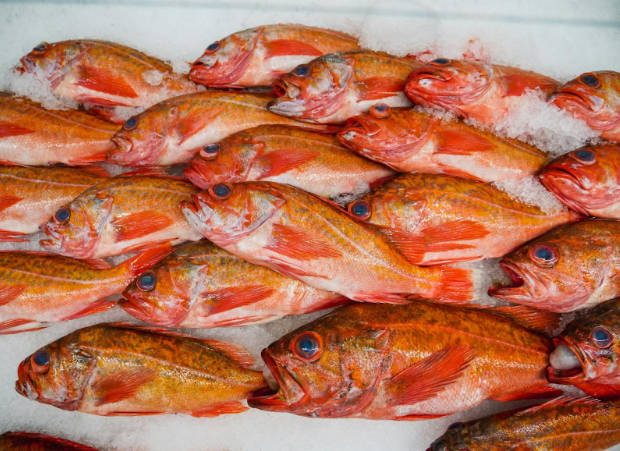 Stocking Up on Fishing Goods Wholesale: A Complete Guide