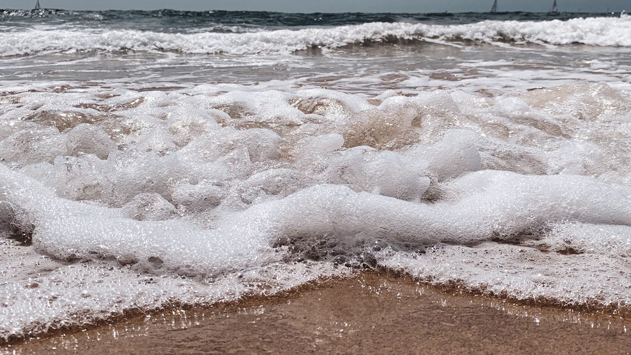 What Are the Different Types of Acoustic Foams?