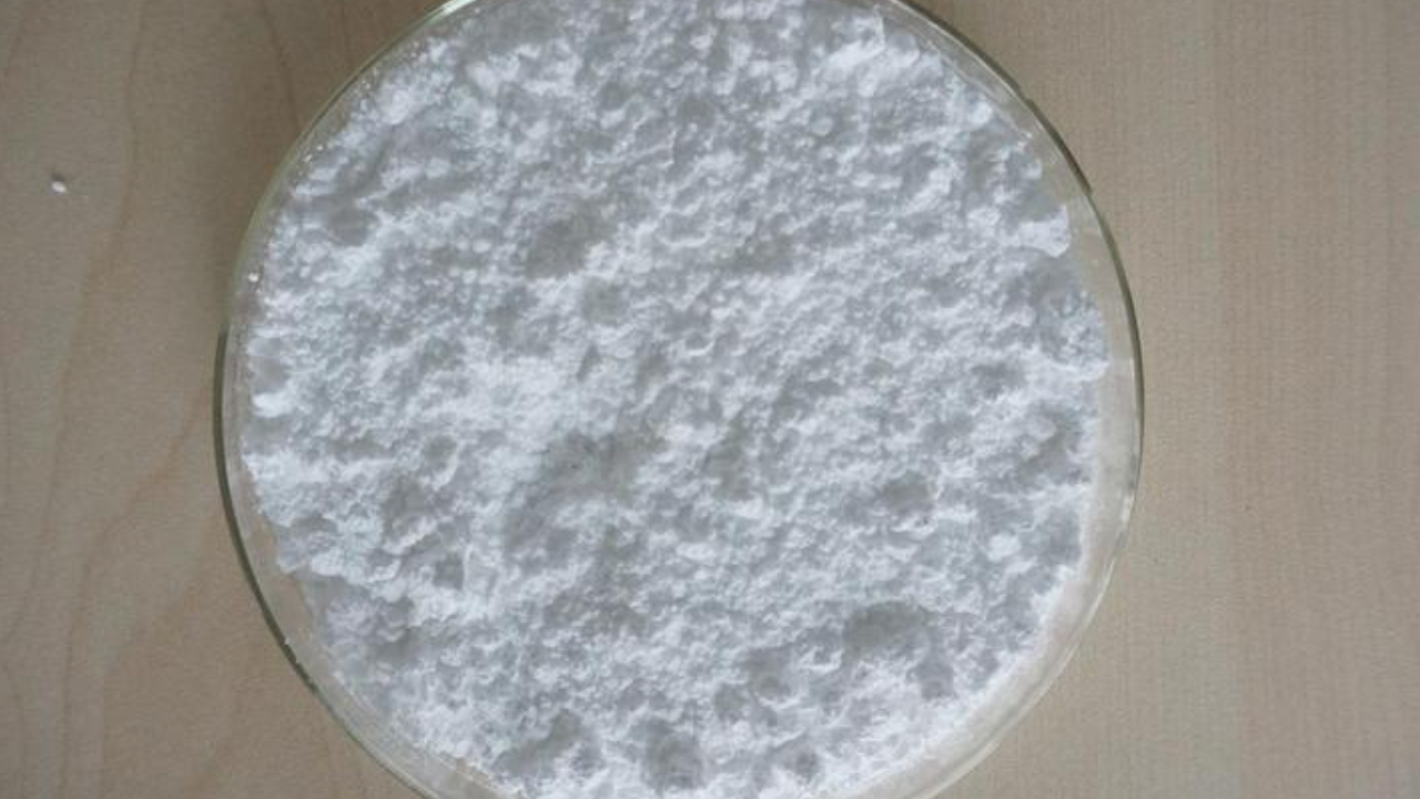 Why Is Citicoline Sodium Vital for Nucleotide Digestion System?