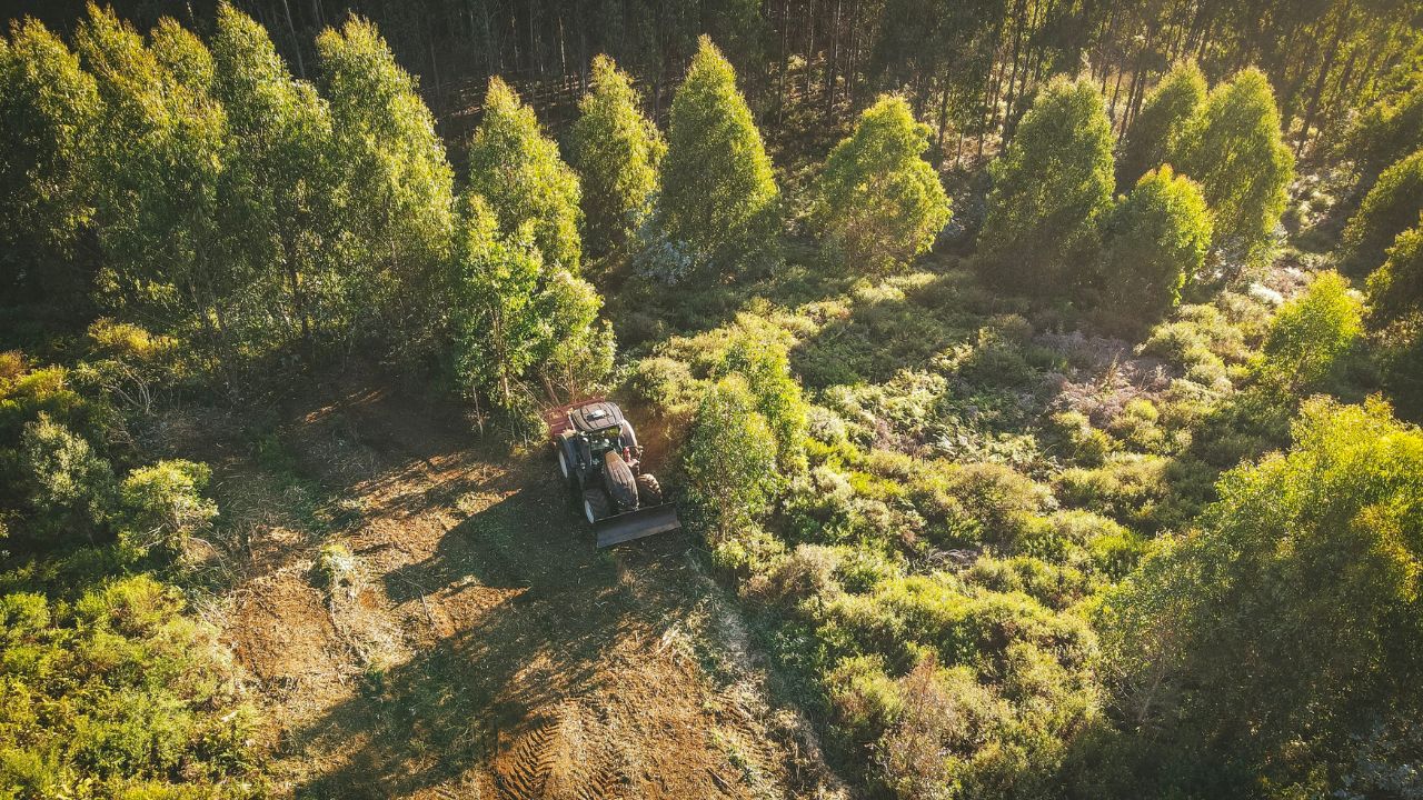 Why You Should Go Now and Invest in a High-Quality Forestry Mulcher