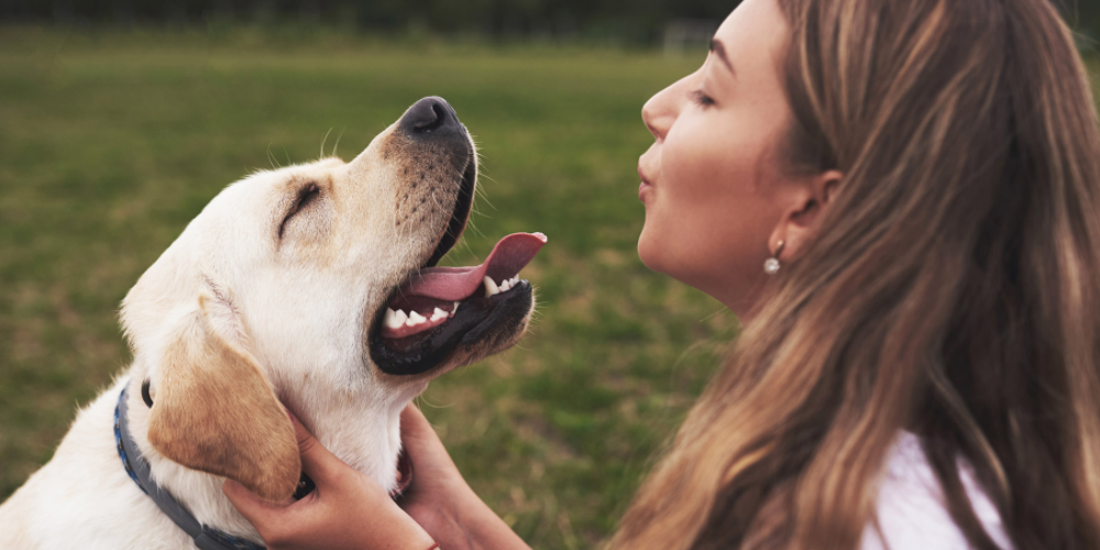 Helping Your Dog Overcome Stress