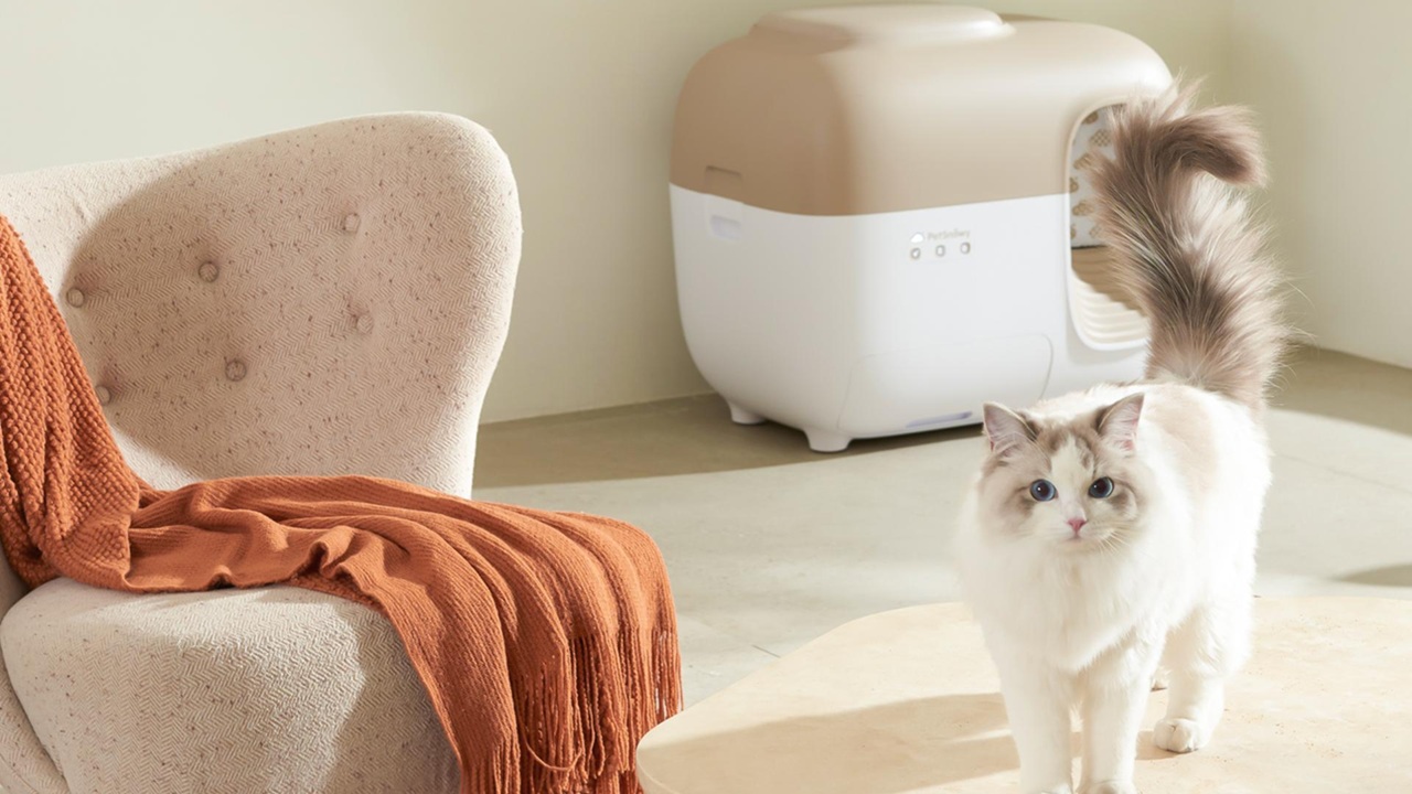 Fresh Air, Happy Cats: The Self-Cleaning Litter Box That Controls Odors