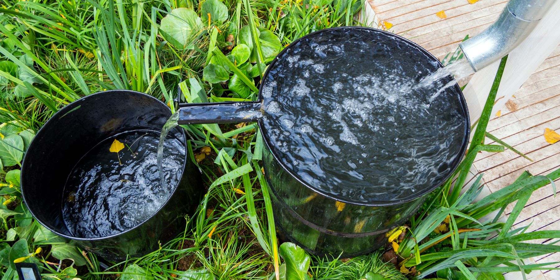 Tips for Safely Collecting and Drinking Rainwater