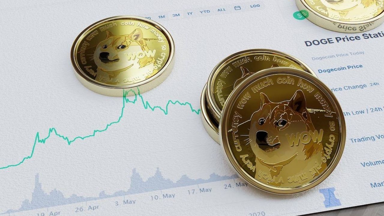 Reasons Why Dogecoin Was Down: Factors That Affect DOGE Price