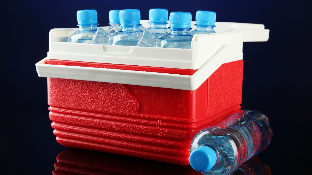 How Everich Helps Businesses Profit from Customized Ice Chests