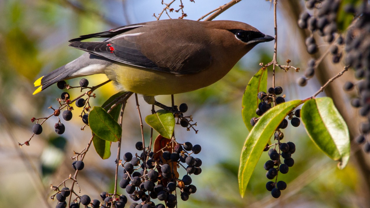 How is XREAL’s AR Space Transforming Our Digital Interactions?