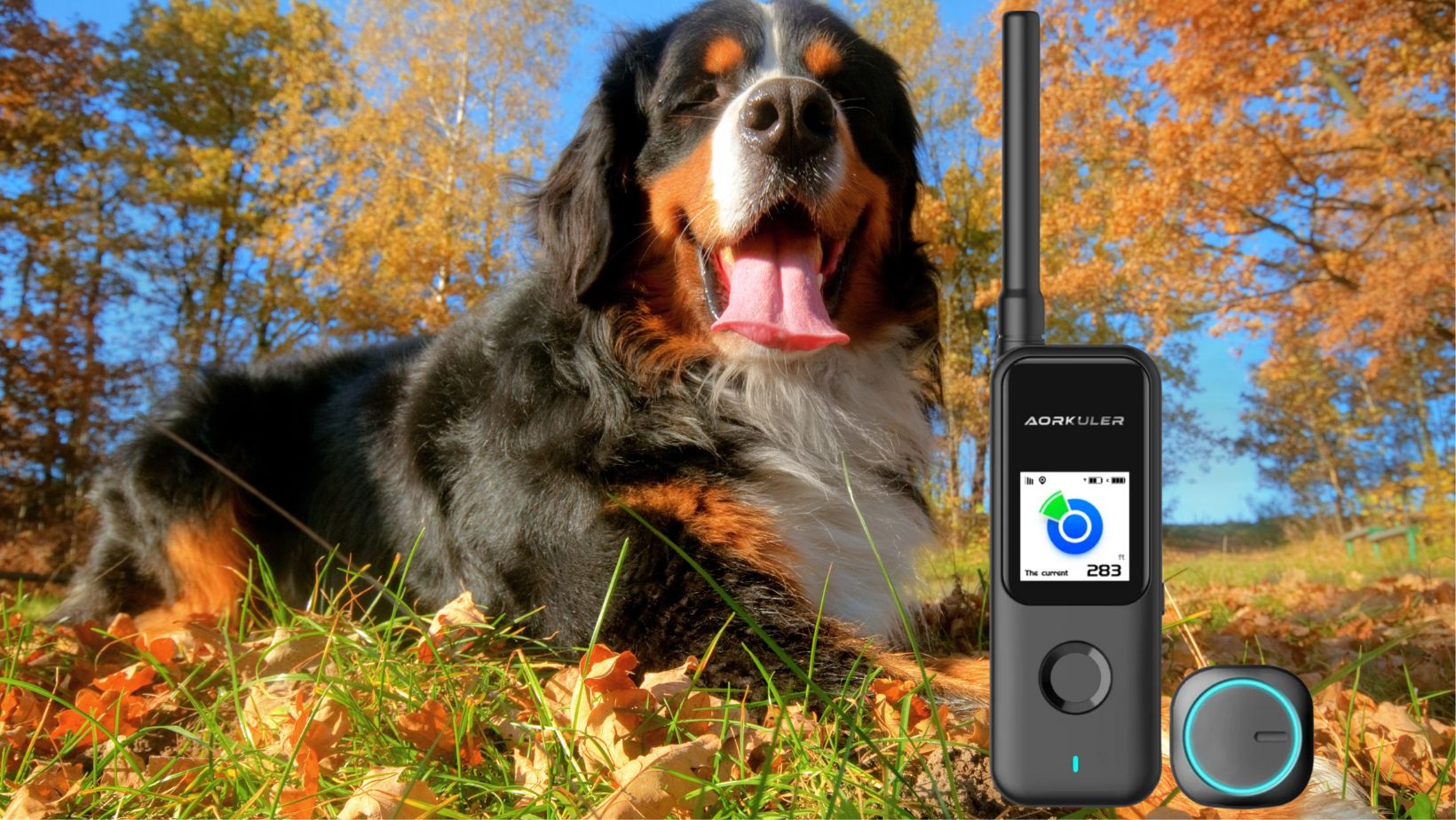 What Does the Aorkuler Dog GPS Tracker Offer?