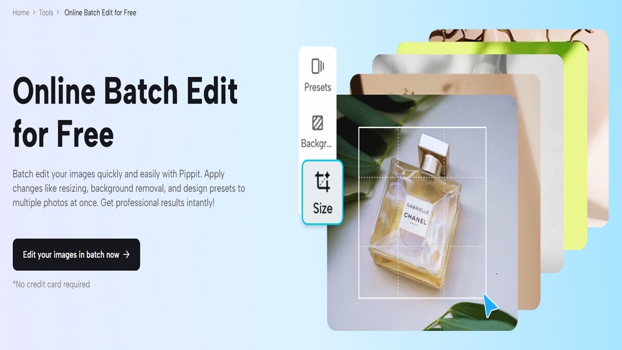 Transform Your Product Images in Seconds with Pippit’s AI: Batch Editing
