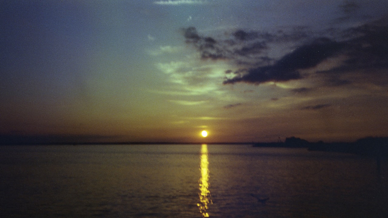 Which Biggest Trends In The Wig Industry Are There?