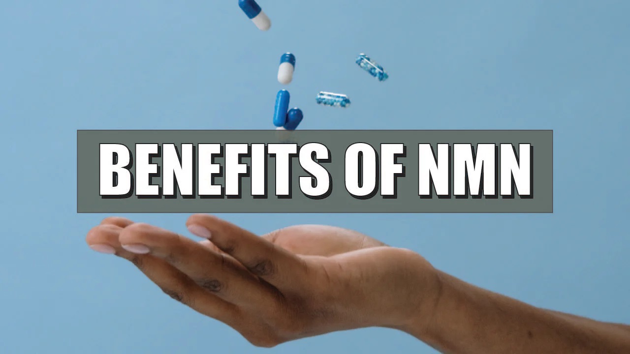 Top 5 Benefits of Taking the Best NMN Powder Daily