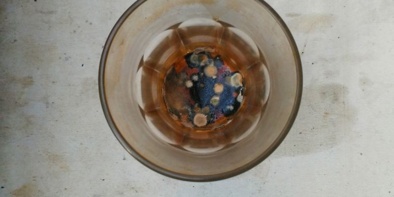 Drank Moldy Water? Here’s What to Know