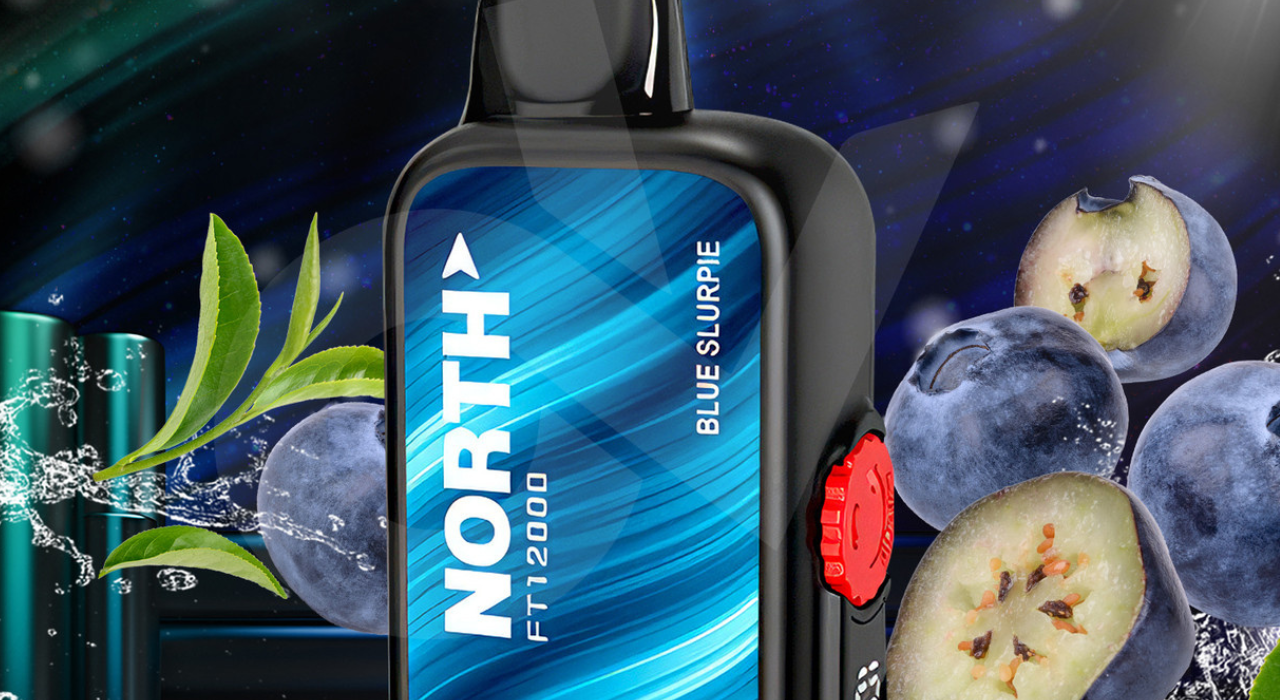 How is North 12000 Disposable Vape Packaged?