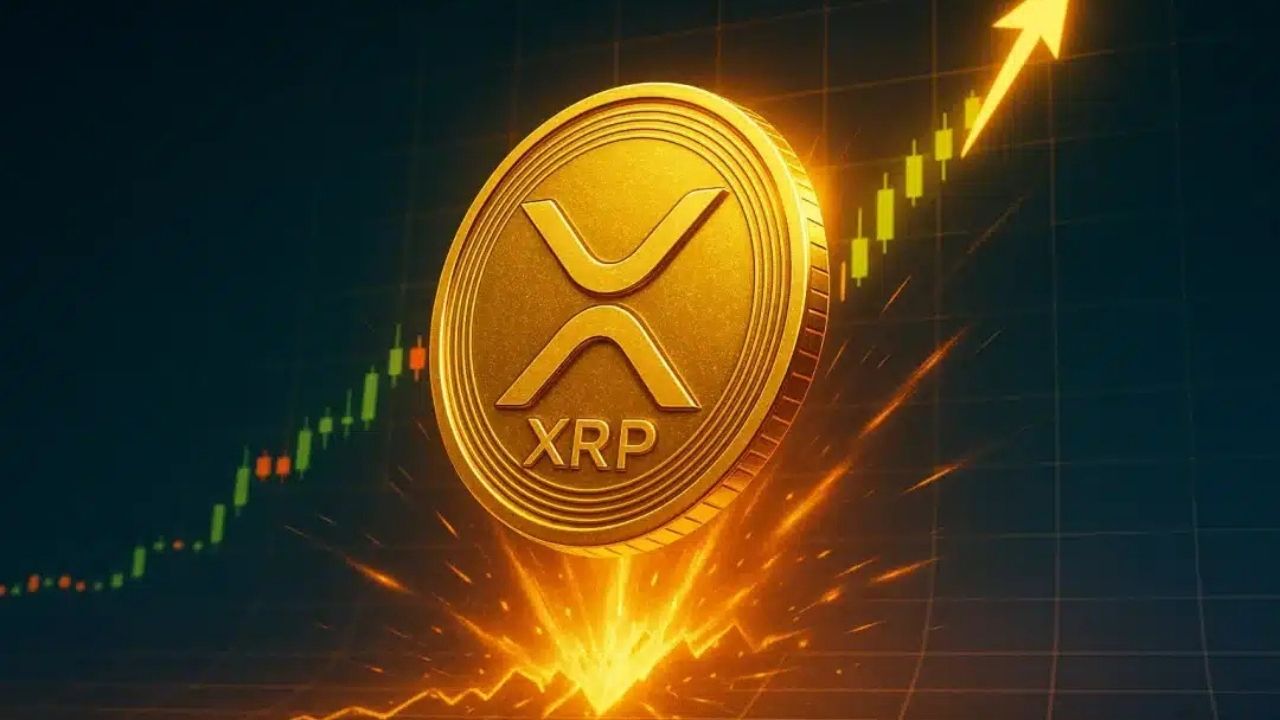 XRP: How to Earn Passive Income on Bitget Earn