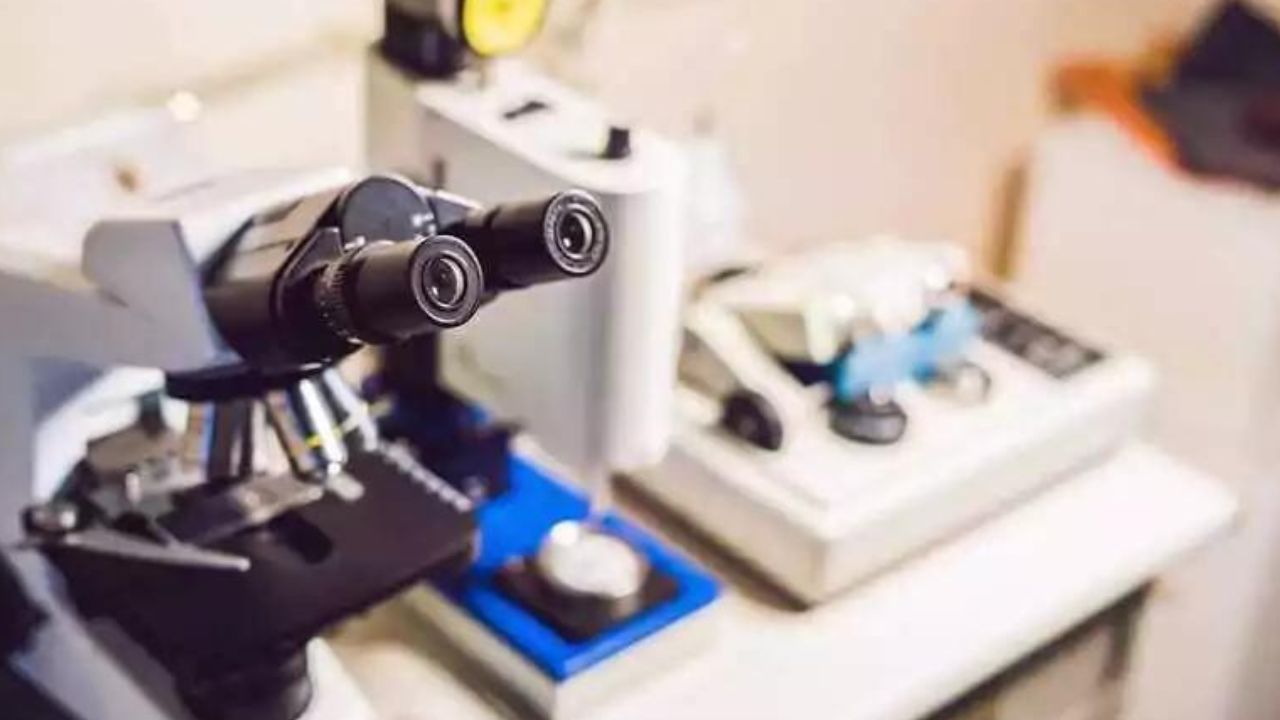 CXIN: One of the Outstanding Forging Manufacturers