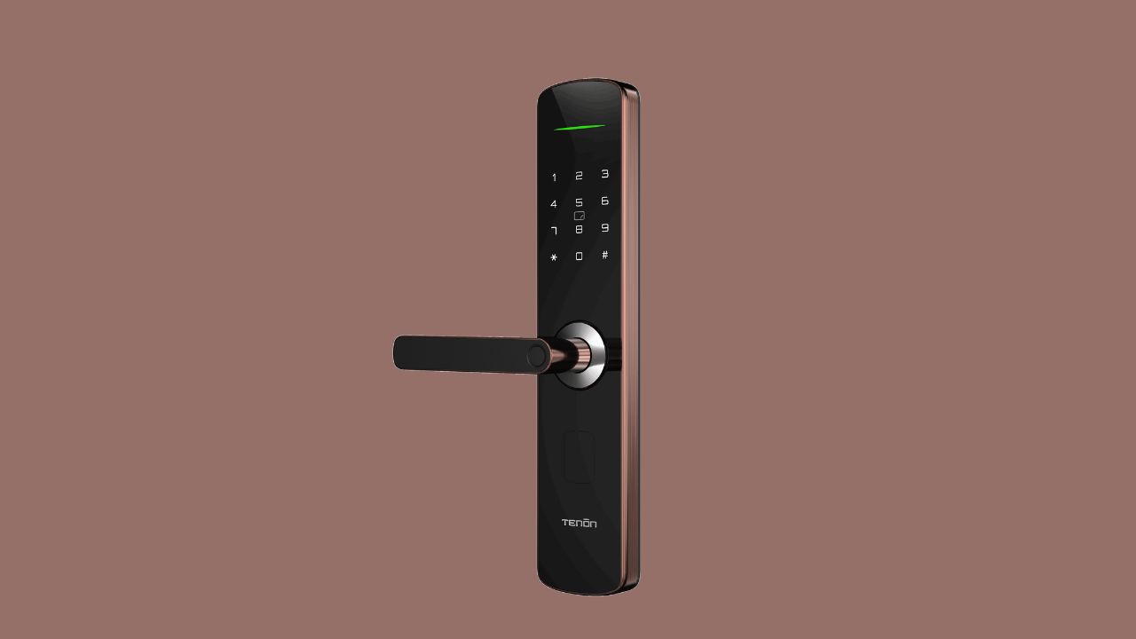 How Biometrics Are Changing Door Security with Tenon