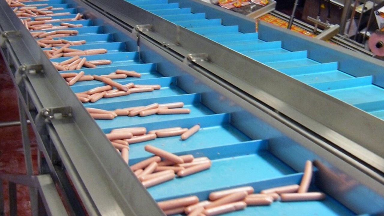 Sausage Belts in Food Processing: Advantages and Cleaning