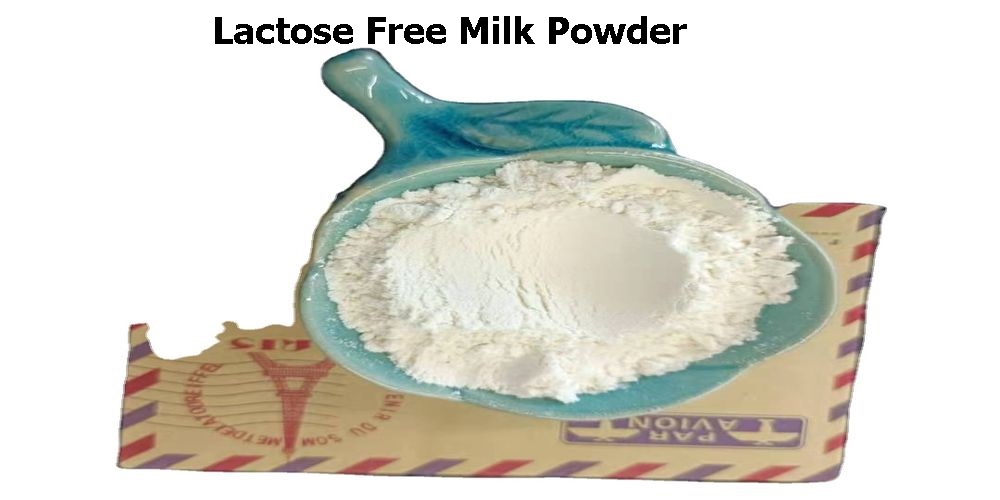 Lactose Free Milk Powder is a Good Alternative for People With Sensitive Stomach