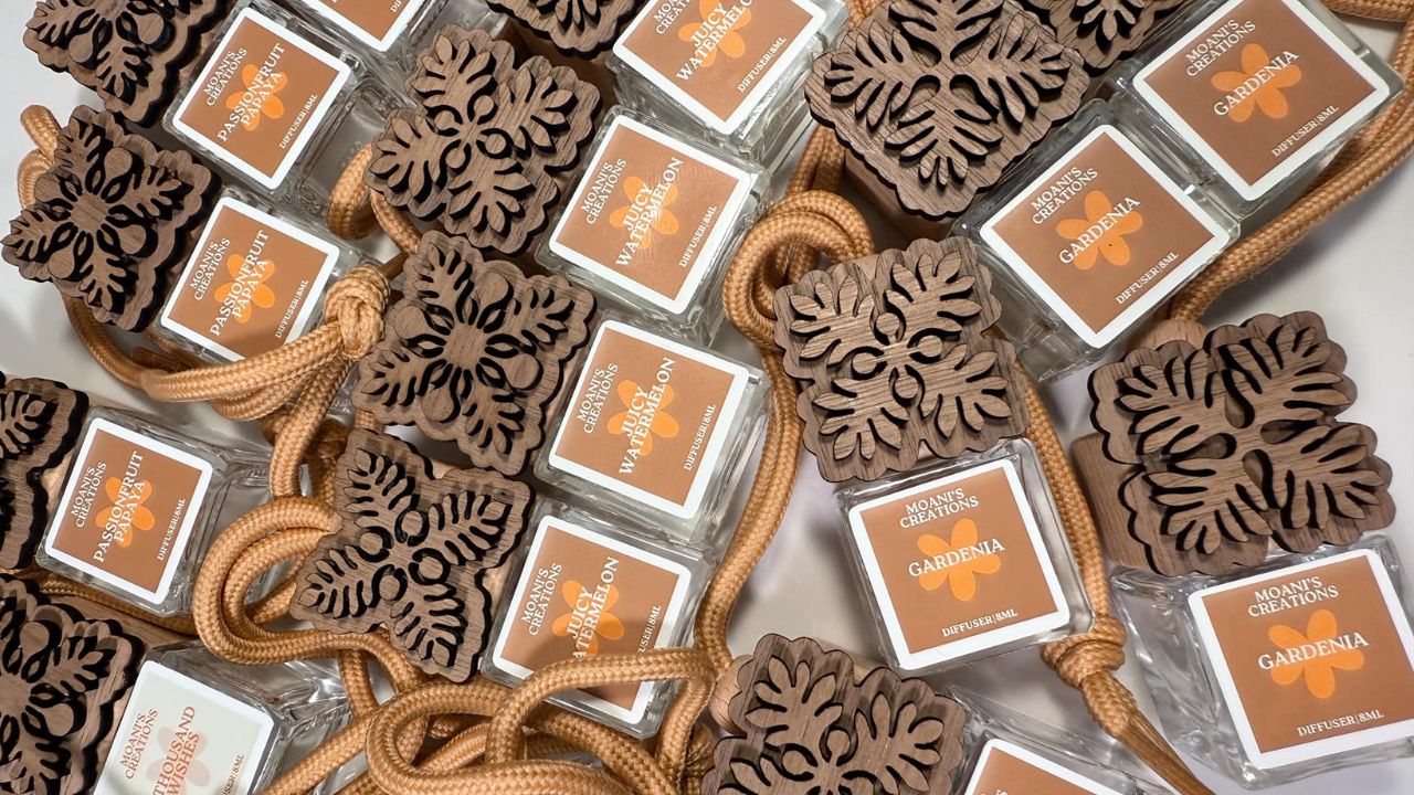 Top Reasons for the Popularity of Liene Best-Selling PixCut S1