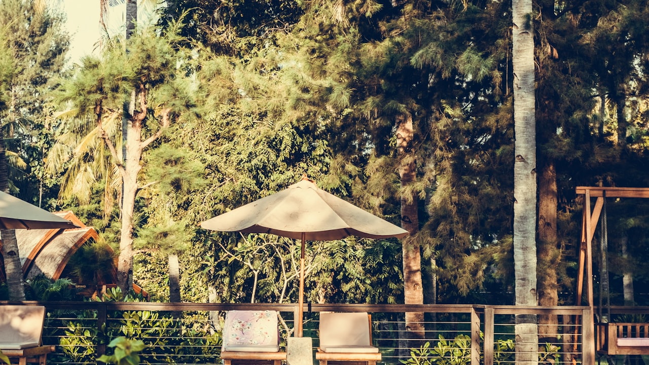 Discussing the Applications of an Oil-Free Screw Air Compressor