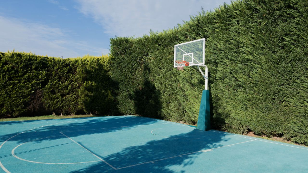 Backyard Basketball Court Materials Made Simple with ZSFloor Tech