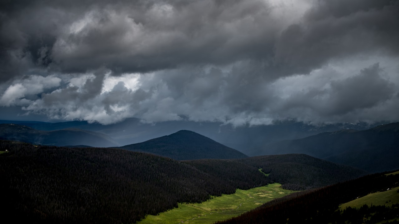 What Options are Available in Gray Wigs?