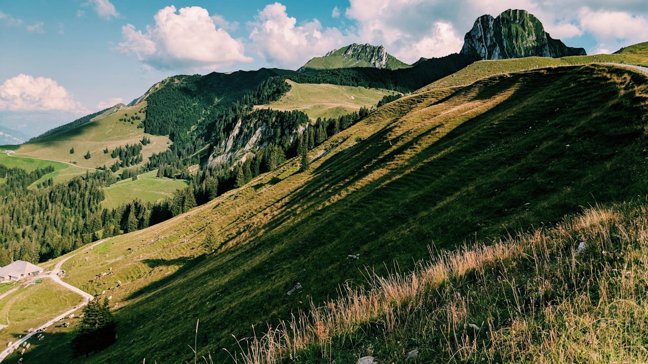 Are artificial grass mats available in different colors?