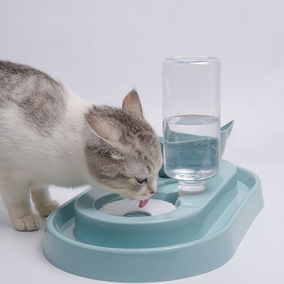 Getting Your Kitty Hydrated: Using Your Stainless Steel Cat Water Fountain