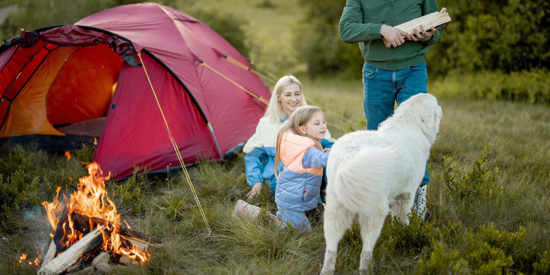 The Ultimate Guide to Camping with Your Dog