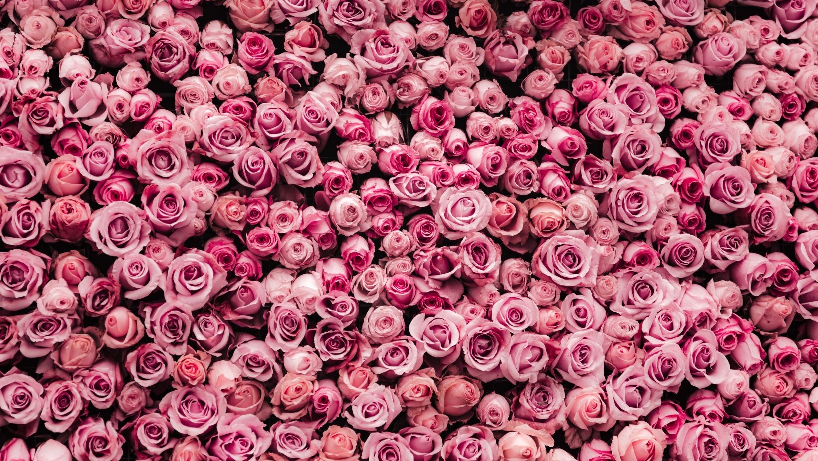 Top 5 Ideas to Use a Flower Backdrop Wall