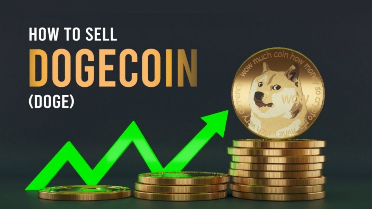 DogeCoin (DOGE): How to Buy? And Reasons to Buy It