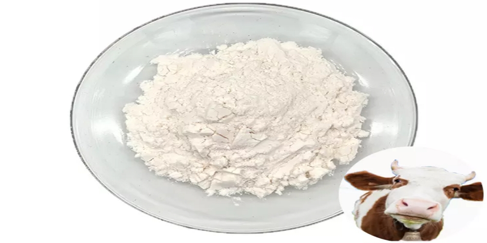 Important Things to Know About Skimmed Milk