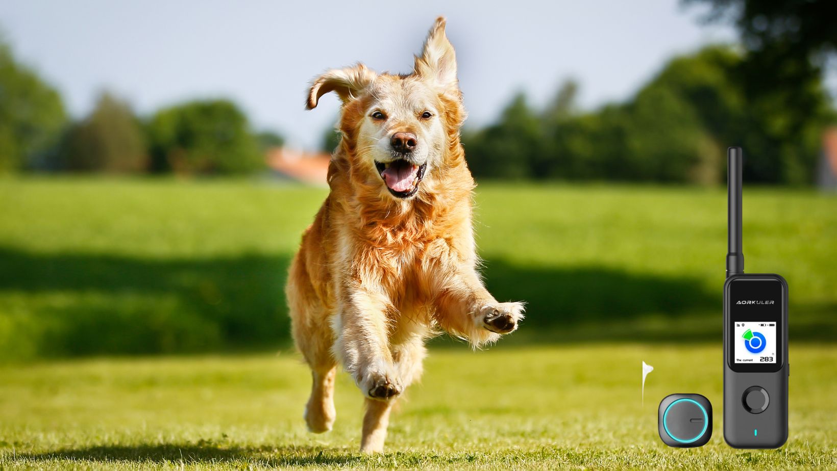 Frequently Asked Questions About Aorkuler GPS Dog Tracker