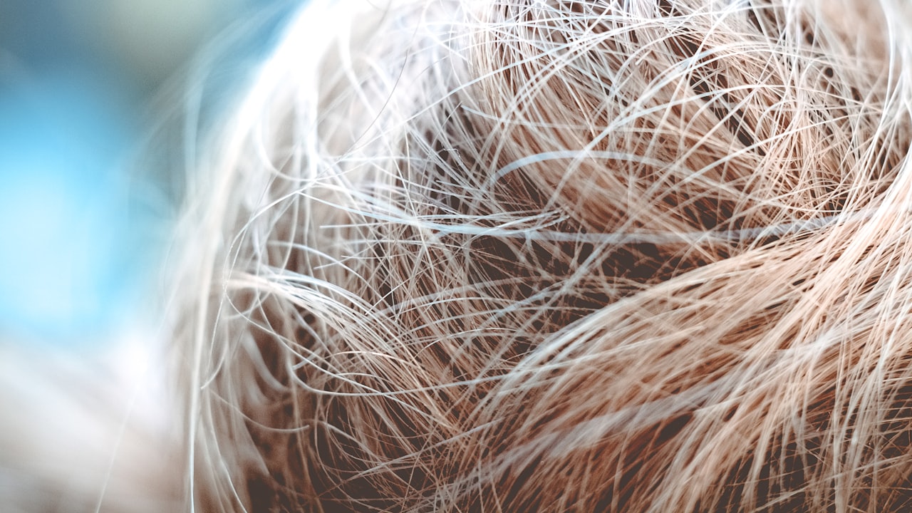 Facts You Need to Know About Human Hair Wigs