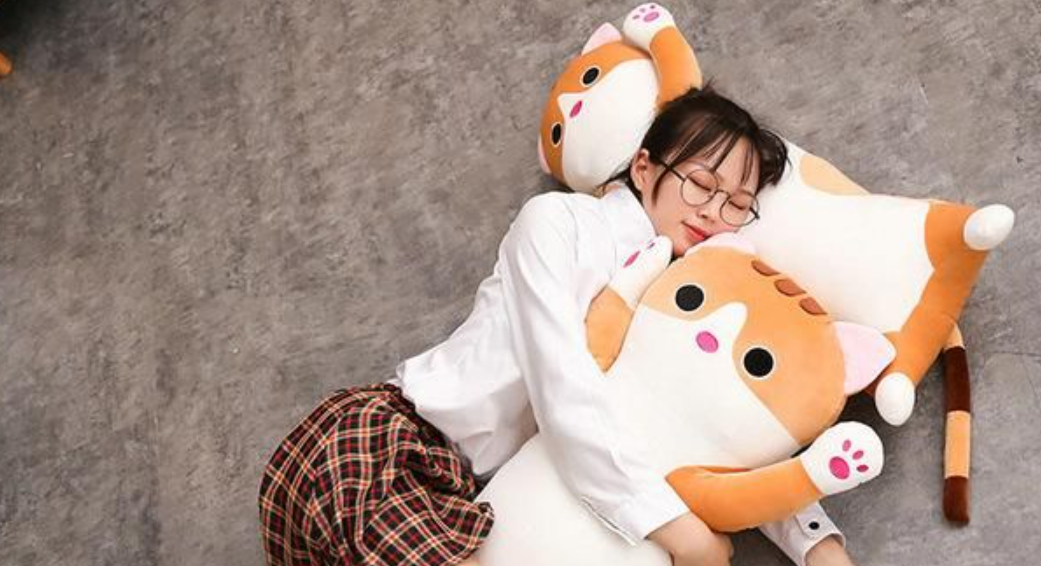 Key Factors to Consider When Buying Your Cat Plush pillow