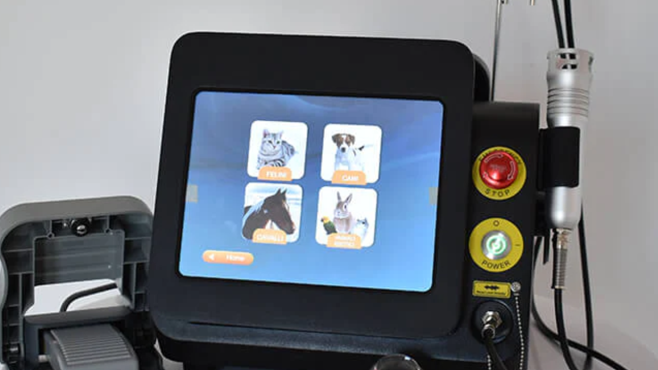 Which Conditions Might LLLT Be Used To Treat?